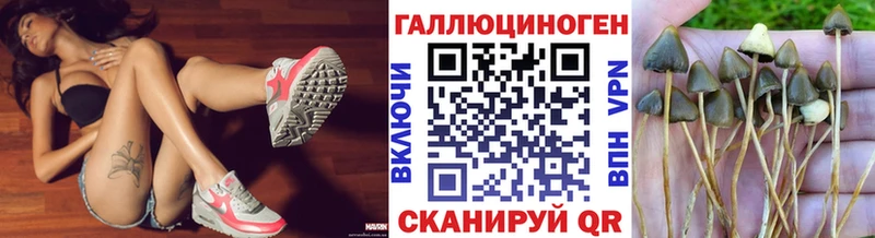 Псилоцибиновые грибы Cubensis  купить наркоту  Десногорск 