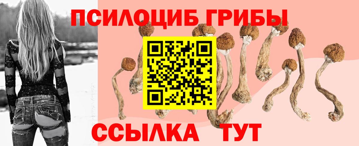 Десногорск  Галлюциногенные грибы Magic Shrooms  Вход с VPN 